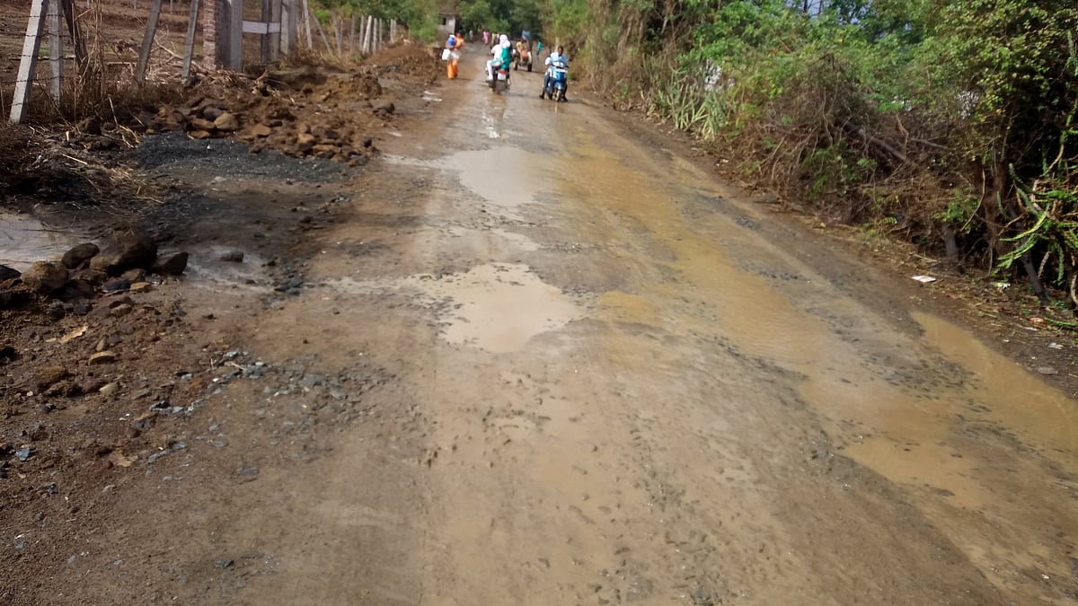 Palghar Women Repair Potholed Road, Prompting PWD Action