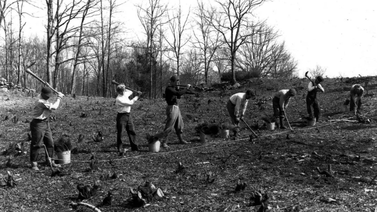 Roosevelt Expands Estate to 1,500 Acres