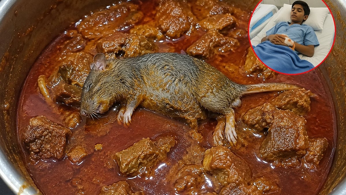 Boy Falls Ill After Eating Mutton With Dead Rat in Khandwa Hotel