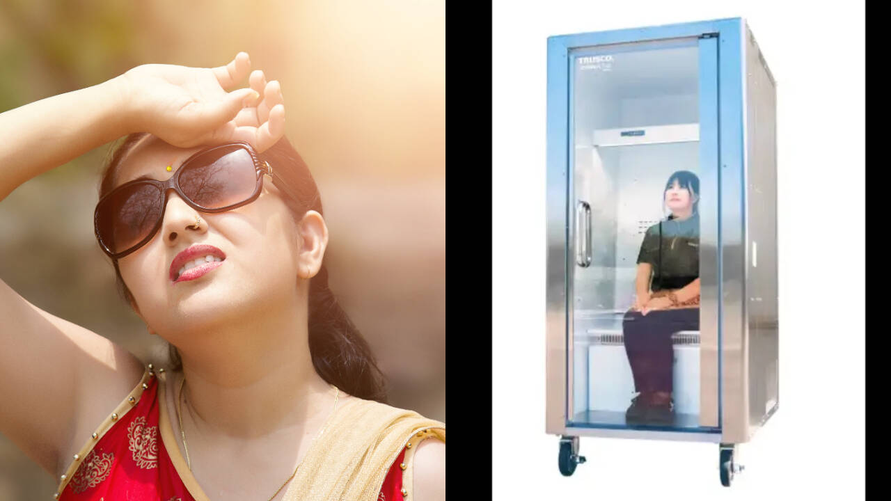 Japan Unveils Human Refrigerator for Rs 9 Lakh