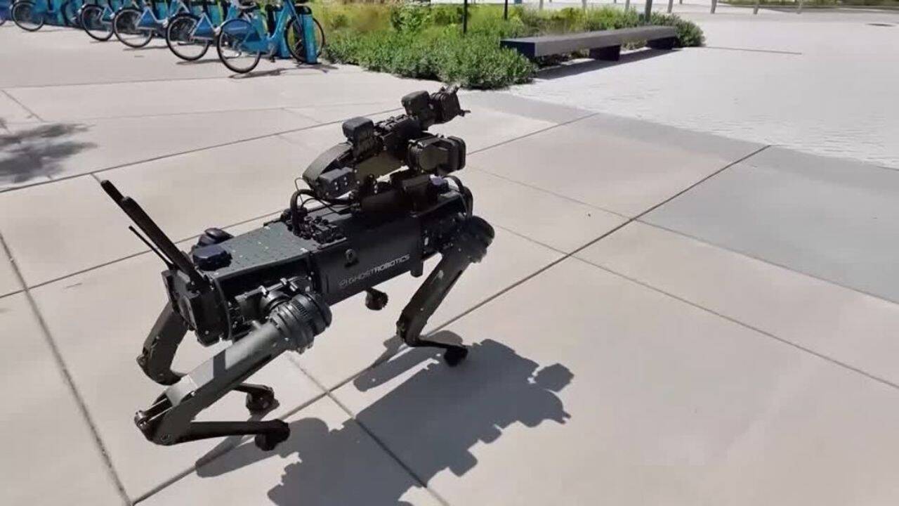 China Builds Robot Dogs at Scale