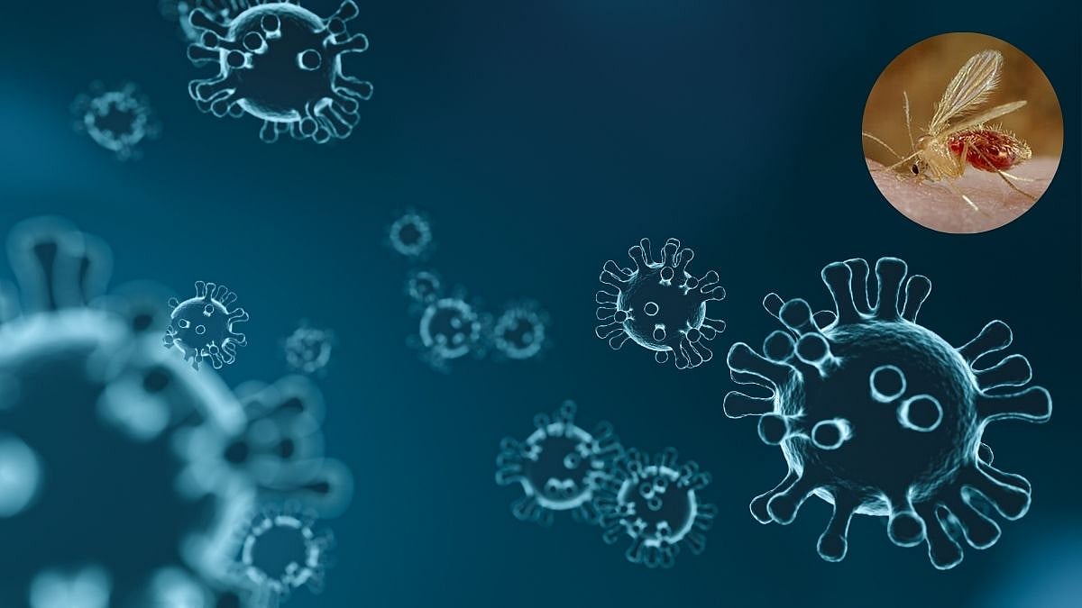 Gujarat Issues Advisory After 22 Child Deaths Linked to Chandipura Virus