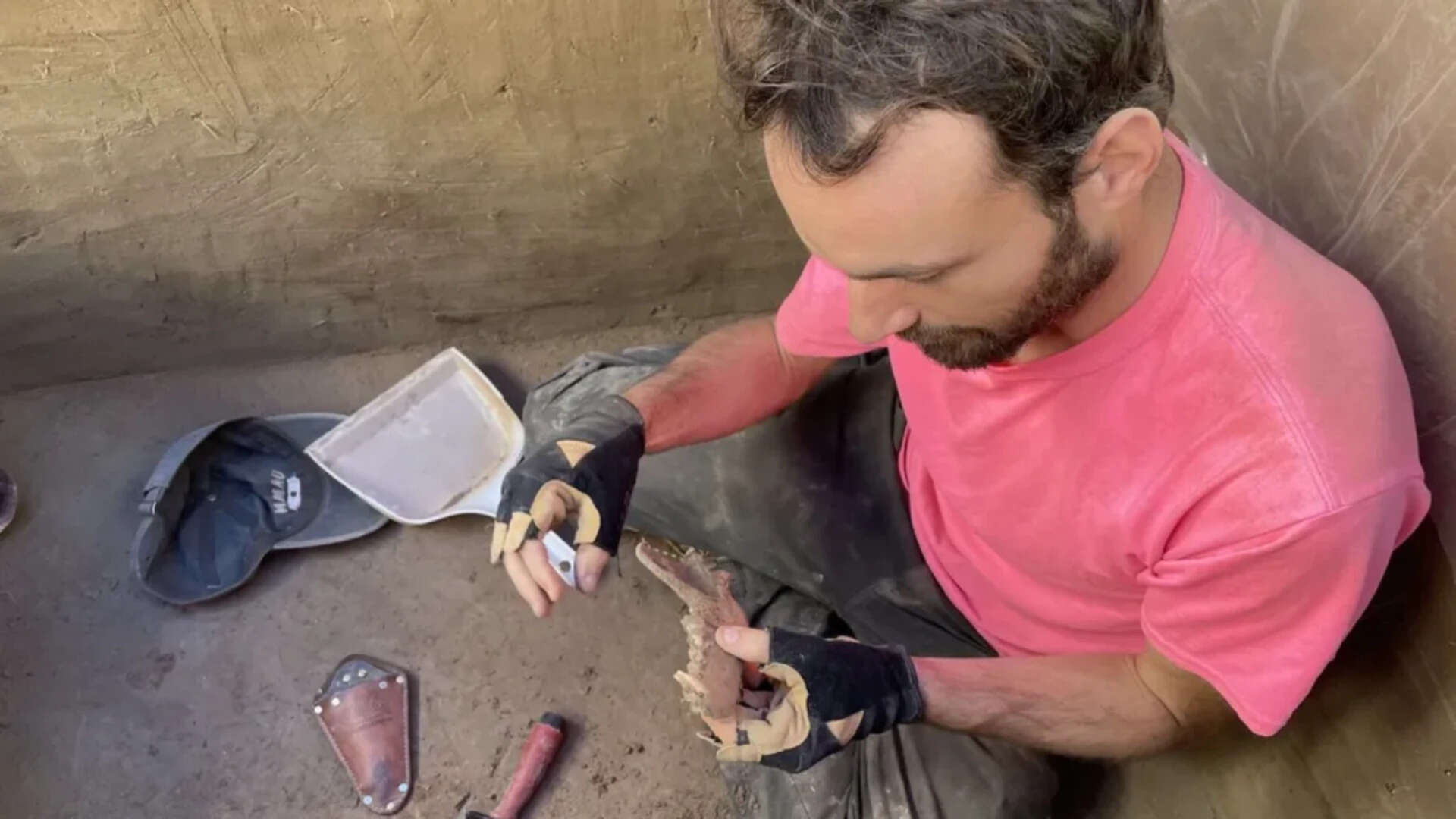 Humans, Dogs Bonded 12,000 Years Ago