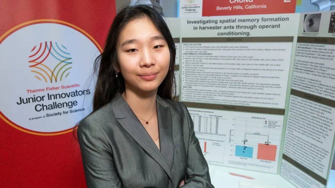Seungah Chung Uses 200 Ants to Reveal Navigation Secrets