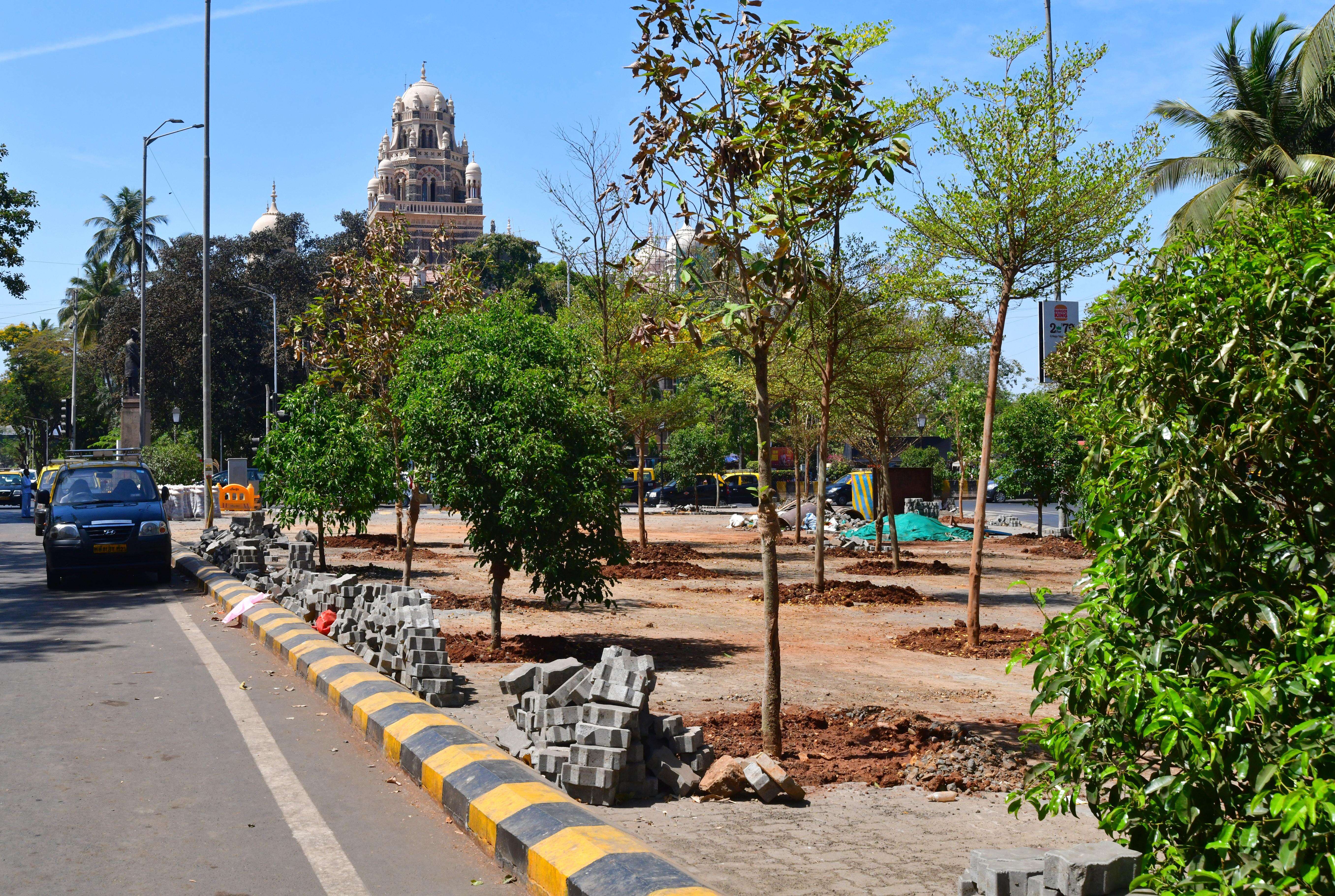 CAG Flags Lapses In Maharashtra Afforestation