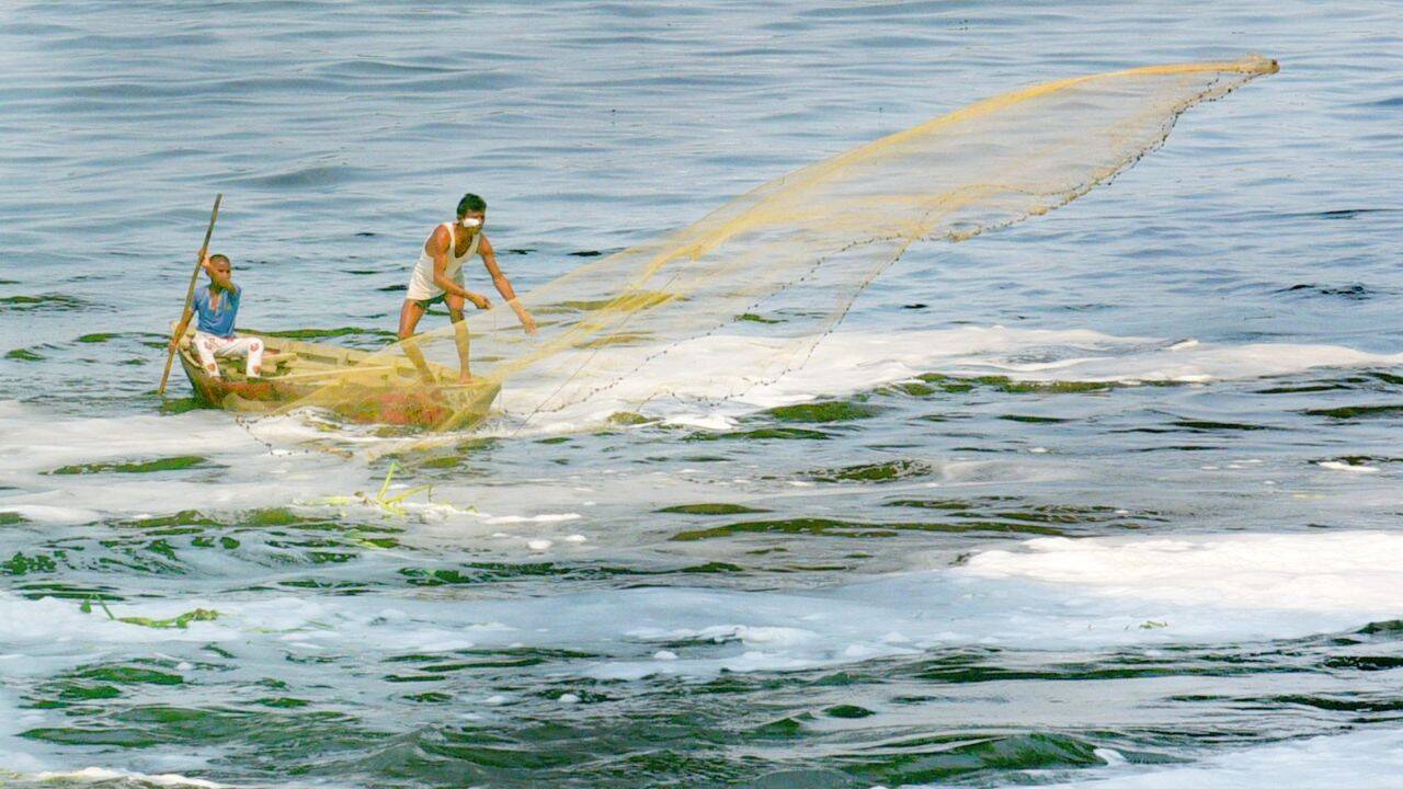 Yamuna Fish Contain Microplastics