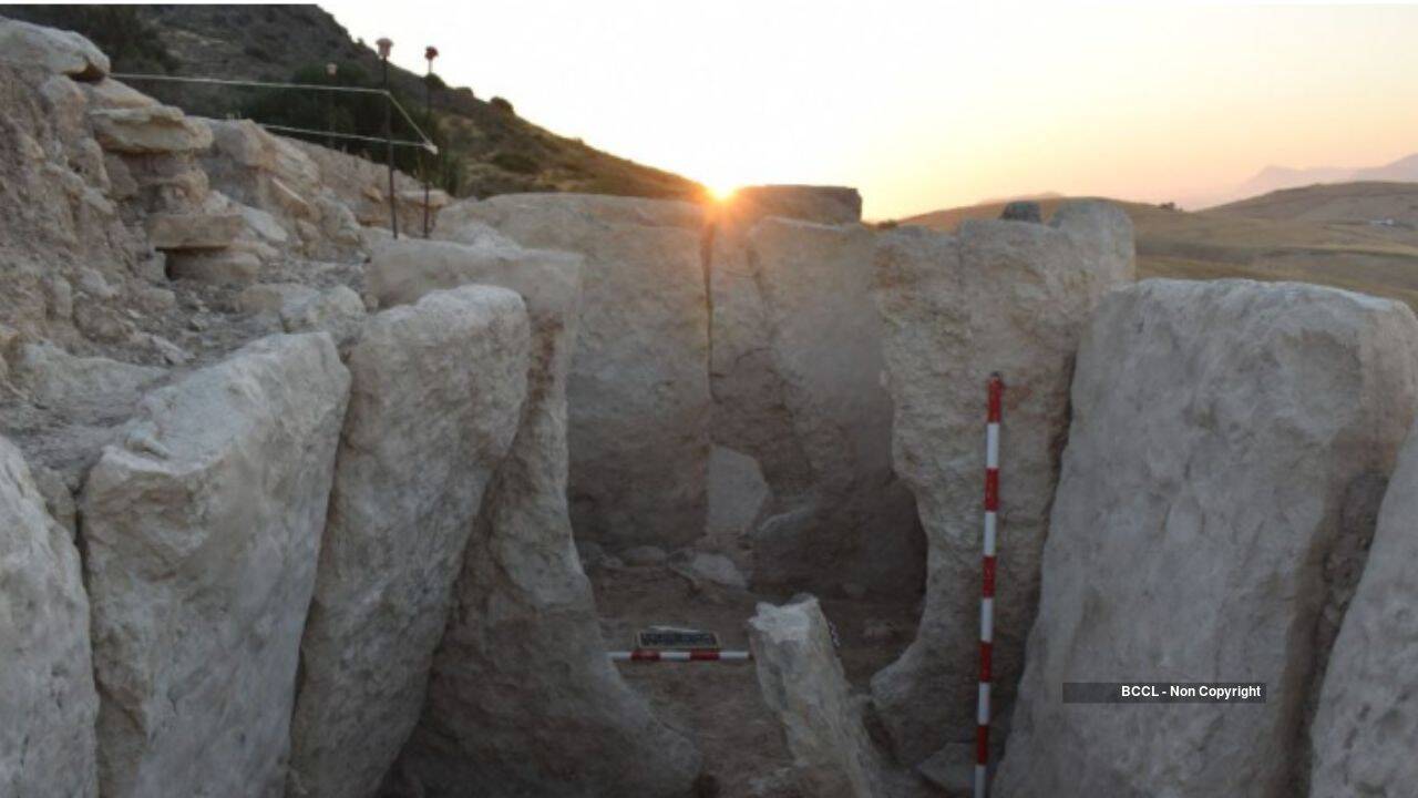 Málaga Tomb Yields 5,000-Year-Old Ivory, Amber